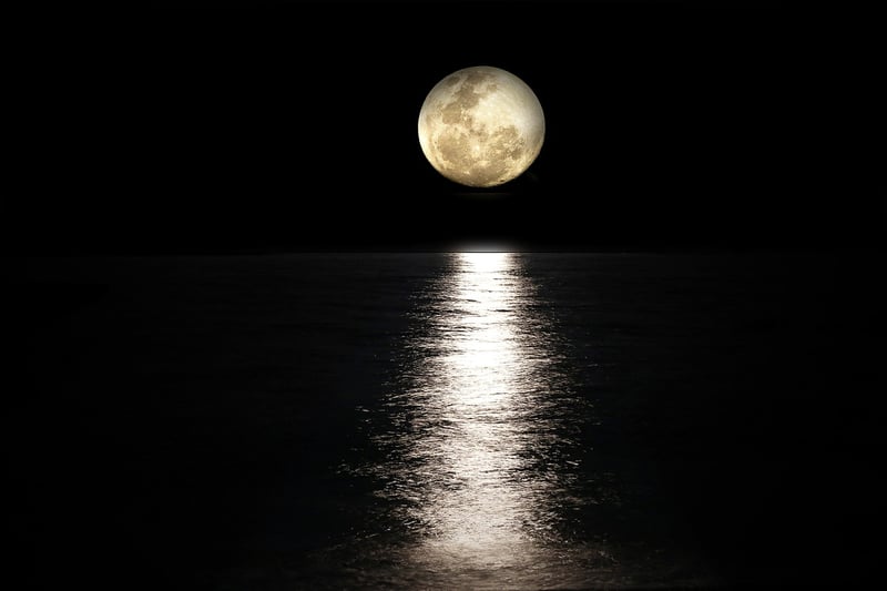 Moonlit Elegance